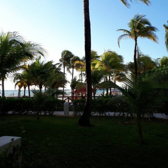 Meet your Posher, Rick - Picture 1 of 1